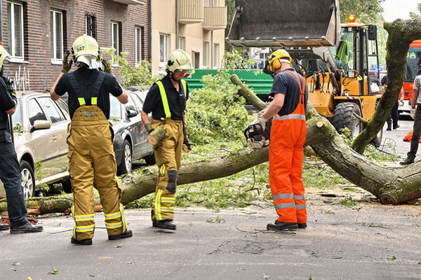 Feuerwehr_Baum   017.jpg